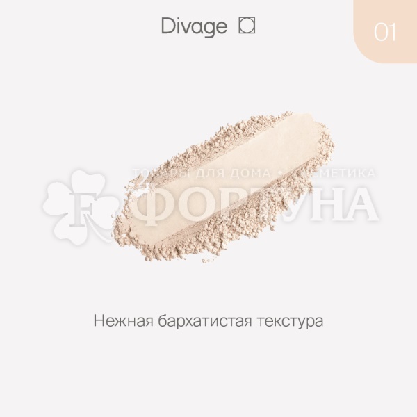 Пудра Divage Matte Touch 01