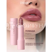 Губная помада Divage Praline т.13
