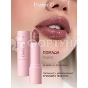 Губная помада Divage Praline т.14
