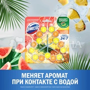 Чистящее средство Domestos 3*50 г Свежесть цитруса