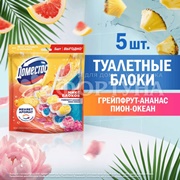 Чистящее средство Domestos 5*50 г Цитрус+Цветочный букет