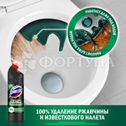 Чистящее средство Domestos 750 мл Антиржавчина