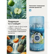 Освежитель воздуха DOMOVERO 250 мл Свежесть горного воздуха з/б