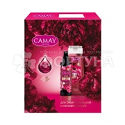 Набор Камей Desir 190+250 мл