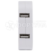 Разветвитель Эра поворотный 2гнезда+2USB 10A белый