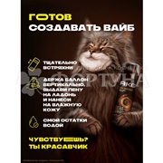 Набор АКС 200+250 мл Дарк темптейшен 2025