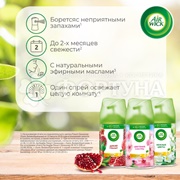Освежитель воздуха Airwick 250 мл Нежные цвекты зап.блок