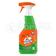 Чистящее средство Mr.Muscle 530 мл для стекол и поверхностей Утренняя роса