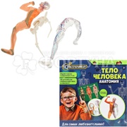 Игрушка Опыты Тело человека IQ Эксперимент