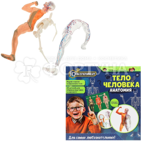 Игрушка Опыты Тело человека IQ Эксперимент