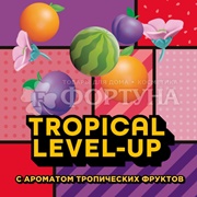 Чистящее средство Туалетный утенок 800 мл Фруктовый