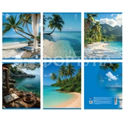 Тетрадь Centrum 48 л Природа клетка