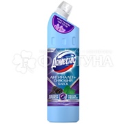 Чистящее средство Доместос 750 мл Ягодное сияние