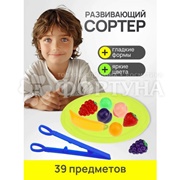 Игрушка Сортер Фрукты 2805826