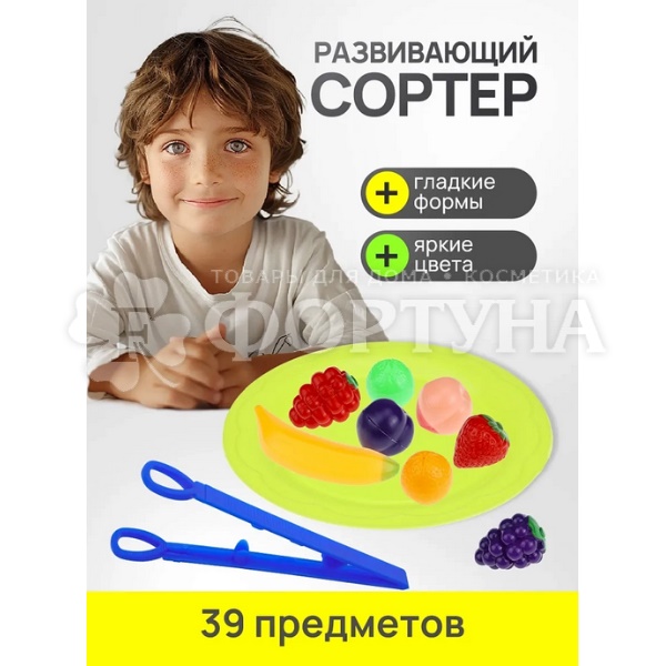 Игрушка Сортер Фрукты 2805826