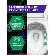 Чистящее средство Доместос 2*50 г Антиржавчина