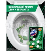 Чистящее средство Доместос 2*50 г Свежесть эвкалипта