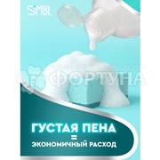 Моющее средство для посуды SIMBL 450 мл Алоэ Вера