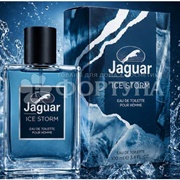 Духи Jaguar 100 мл Ice Storm мужские