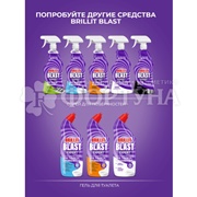 Чистящее средство Brillit Blast 450 мл для ванны и душевой