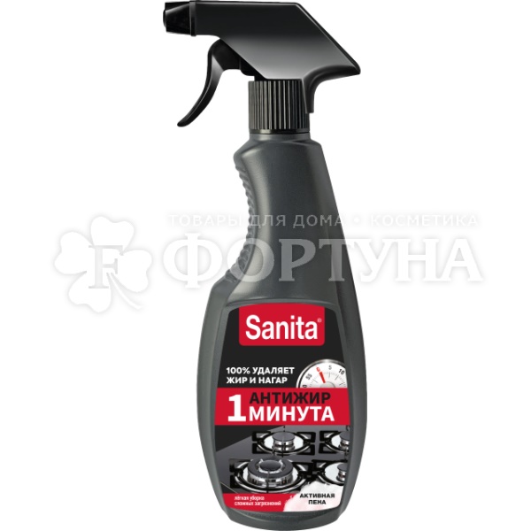 Чистящее средство Sanita 500 мл 1 минута Спрей