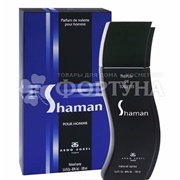 Парфюмерная вода Shaman 100 мл
