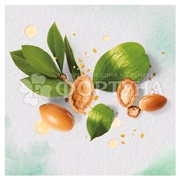 Шампунь Herbal Essences 250 мл Аргановое масло