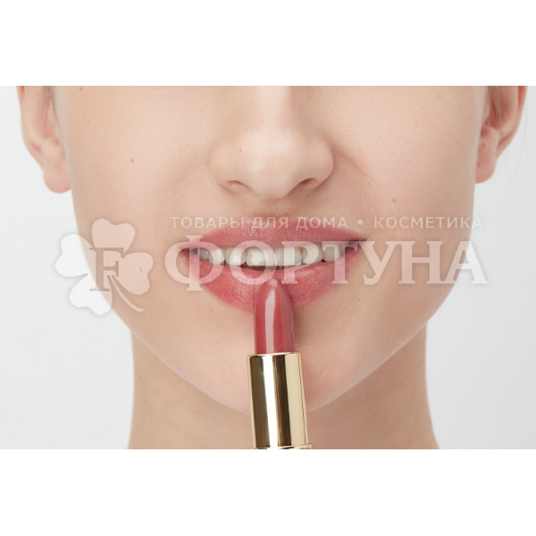 Губная помада Charme Soft Touch 012 Яблочное повидло