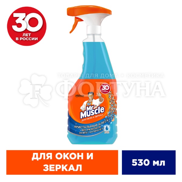 Моющее средство Mr.Muscle 500 мл Профессионал После дождя Триггер