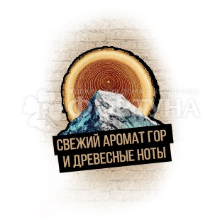 Гель для душа Axe 250 мл Голд