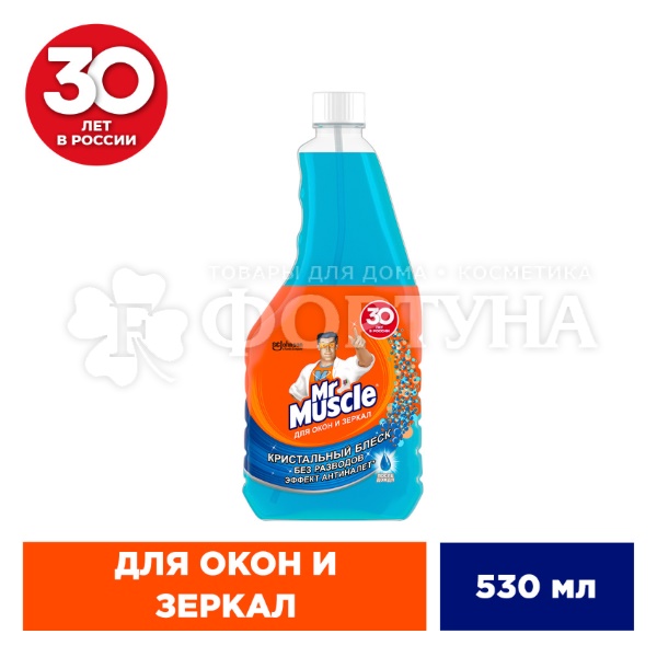 Моющее средство Mr.Muscle 500 мл Профессионал После дождя запасной блок