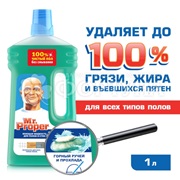 Чистящее средство Mr.Proper 1000 мл Для полов и стен Горный ручей