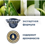 Освежитель воздуха Glade Automatik 269 мл Утренняя свежесть