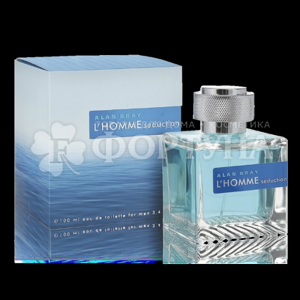 Alan bray l homme. Alan Bray l'homme Seduction 100мл. Туалетная вода alan Bray l'homme Seduction. Alan Bray l`homme 100ml /м/ Seduction. L homme духи мужские alan Bray.
