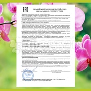 Жидкое мыло Palmolive 300 мл Черная орхидея