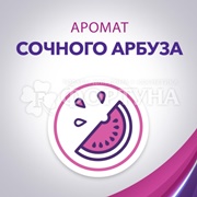 Дезодорант аэрозольный Lady Speed Stick Fresh & Essence 150 мл Арбуз