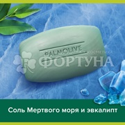Туалетное мыло Palmolive 90 г Северный океан