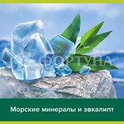 Туалетное мыло Palmolive 90 г Северный океан